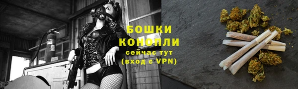 mdpv Вяземский
