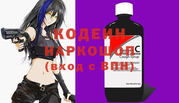 mdpv Вяземский
