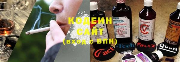 ПСИЛОЦИБИНОВЫЕ ГРИБЫ Вязьма