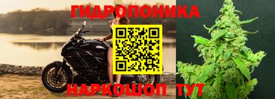 прущие грибы Конаково