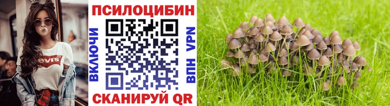 сколько стоит  Муром  Галлюциногенные грибы Magic Shrooms 