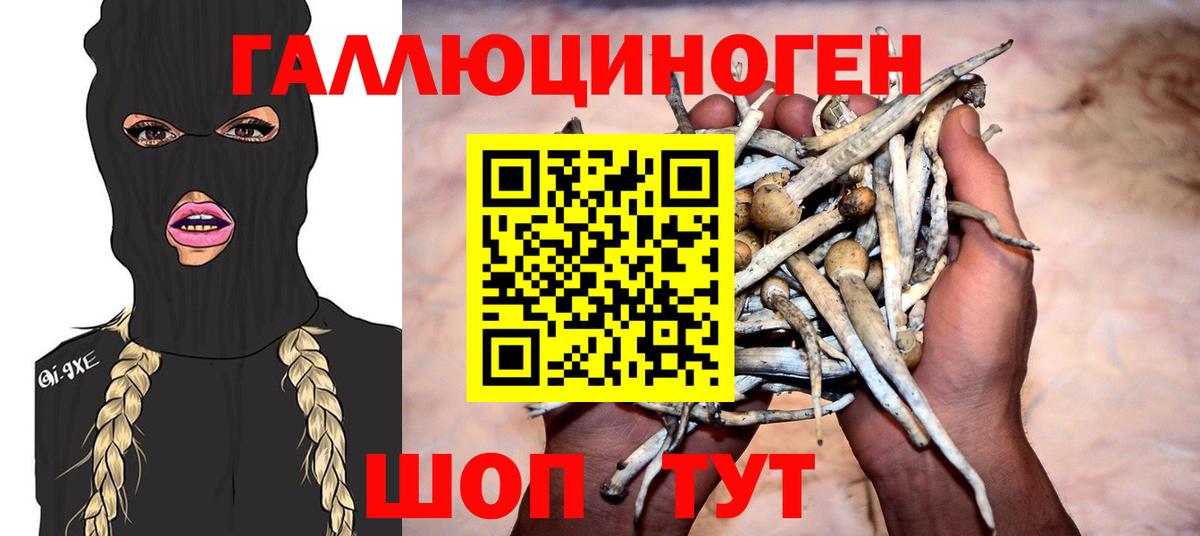 Галлюциногенные грибы мицелий Муром