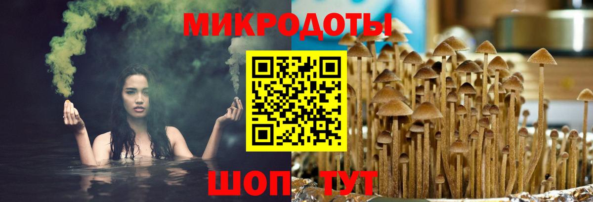 Псилоцибиновые грибы мухоморы  наркотики  Муром  Вход с VPN 